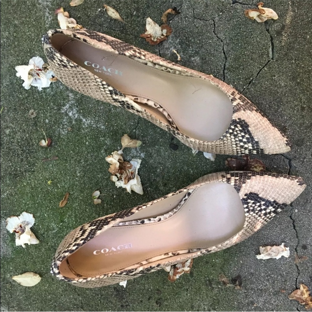 Snakeskin Kitten Coach Heels